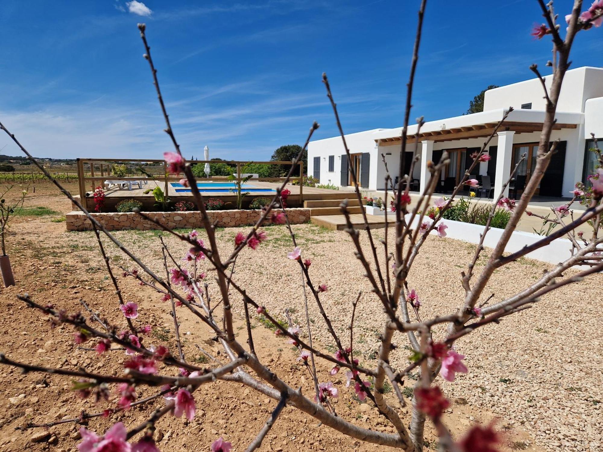 Villa Ses Viñas De Cas Baixero La Mola Exterior foto